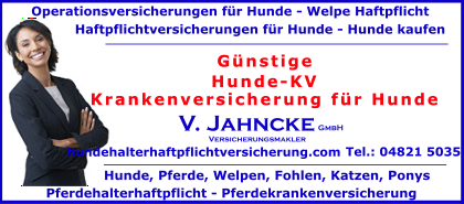 Hunde-KV-Krankenversicherung-fuer-Hunde